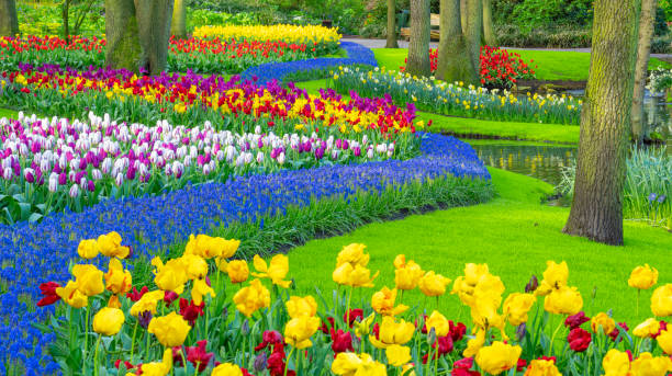 istock Spring Flowers in a Garden 2150023347