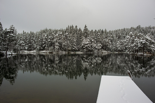 A serene, snow-clad lake with frosted trees reflecting in the still, icy waters.