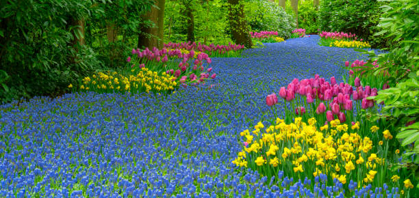 istock Spring Flowers in a Garden 2150023662
