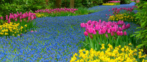 istock Spring Flowers in a Garden 2150023667