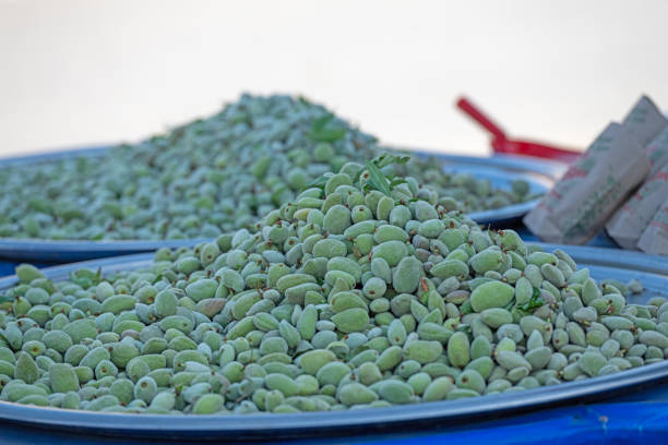 Extreme close up of a group of Almonds.