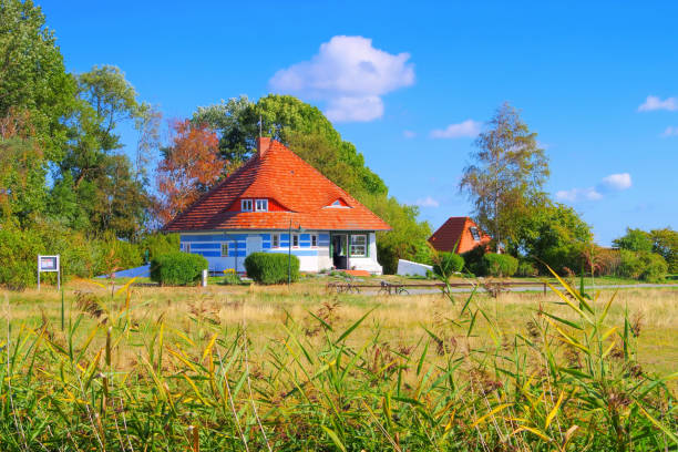 Abandoned village overgrown by wild grass and trees
