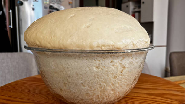 Leavened and risen dough in a glass bowl. Fermented dough Leavened and risen dough in a glass bowl. Fermented dough dough stock pictures, royalty-free photos & images