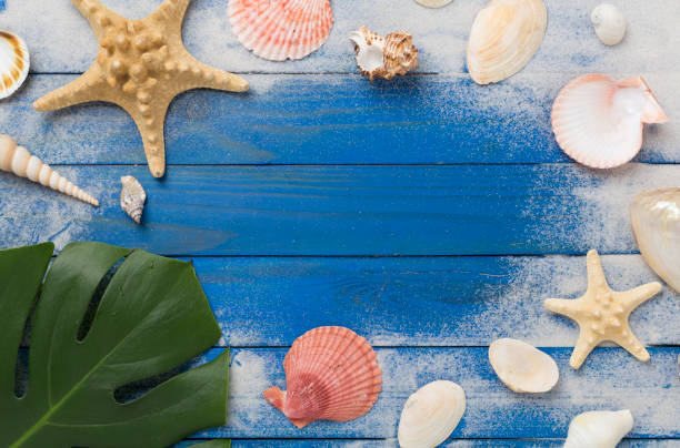 istock Sea shells, starfish and sand on wooden background, top view 2150026372