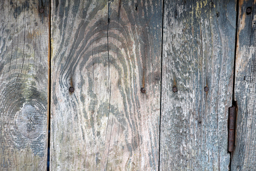 A wall of beautiful reclaimed barn wood. 
