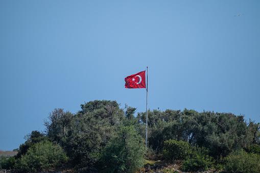 Turkish flag waving in the wind on a wooded hill.