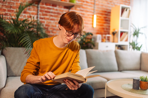 A young individual in an orange sweater shows intent concentration on his book amidst a room filled with homely comforts and plants