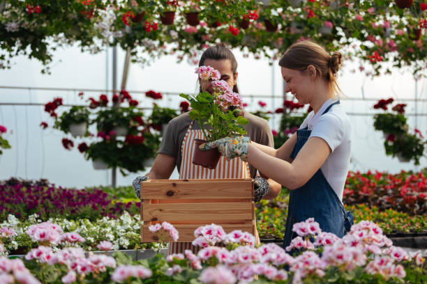istock Two people working in a flower garden 2150031398