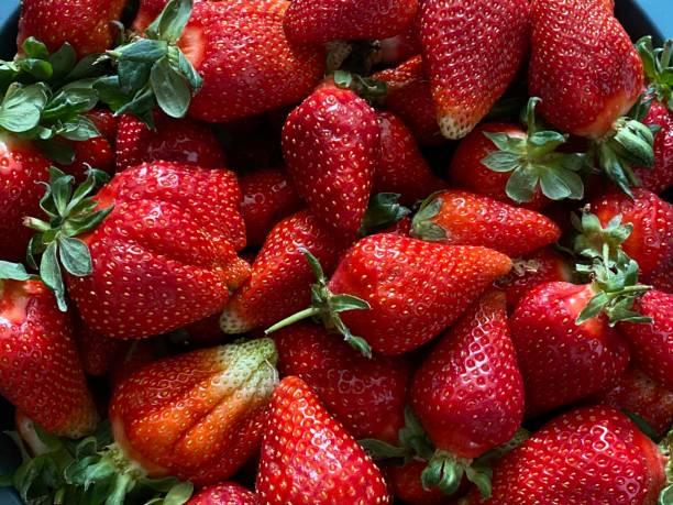 istock Ripe red strawberries close-up 2150032283