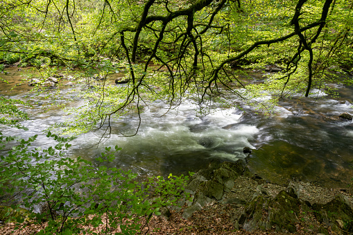Long exposure of  the river Barle flowing through the woods at Tarr Steps in Exmoor National Park