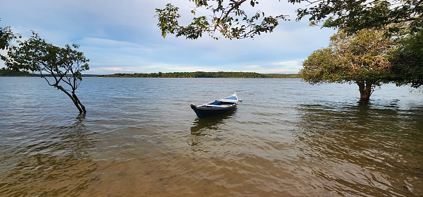 Small fishing boats wait on the shore of a Wisconsin lake.