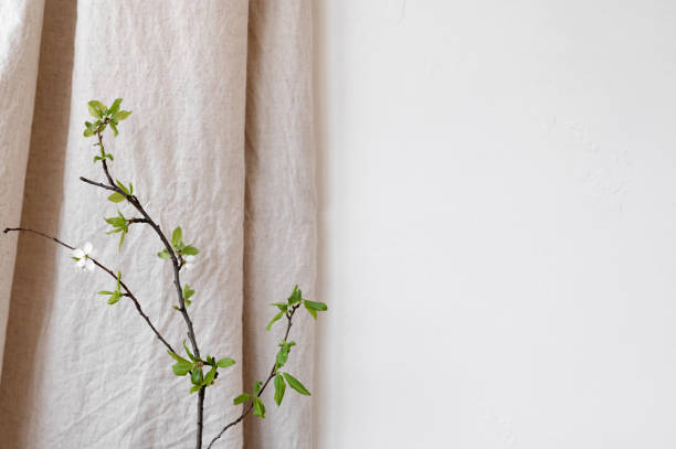 istock Aesthetic natural background with empty white wall, neutral beige linen curtain and green tree branch, sustainable floral backdrop with copy space 2150033472