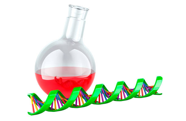 DNA spiral with chemical flask. Biotechnology research, concept. 3D rendering isolated on white background