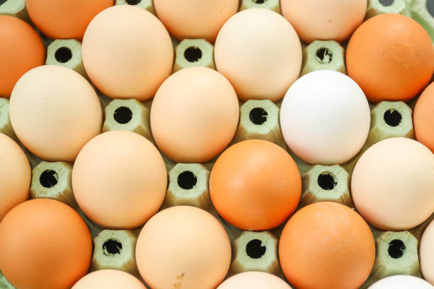 istock Chicken eggs in a cardboard box 2150034630