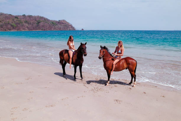 istock Two Women with Horses on the beach 2150037379