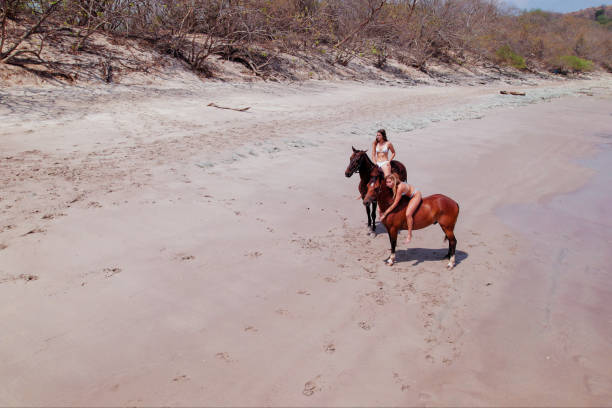 istock Woman Hugging Horse on the beach 2150037390