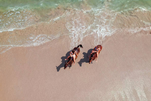 istock Riding Horses on the beach 2150037402