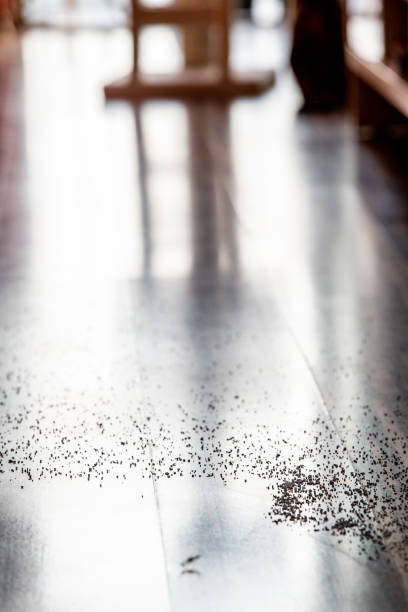 Cleaning parquet with yellow cloth