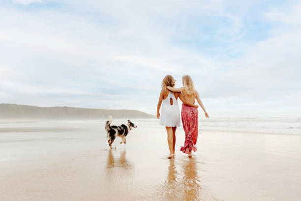 istock traveling with pet in summer 2150042174