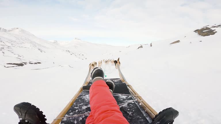 Husky dogs pulling sledge over snowy landscape POV 4K stock video