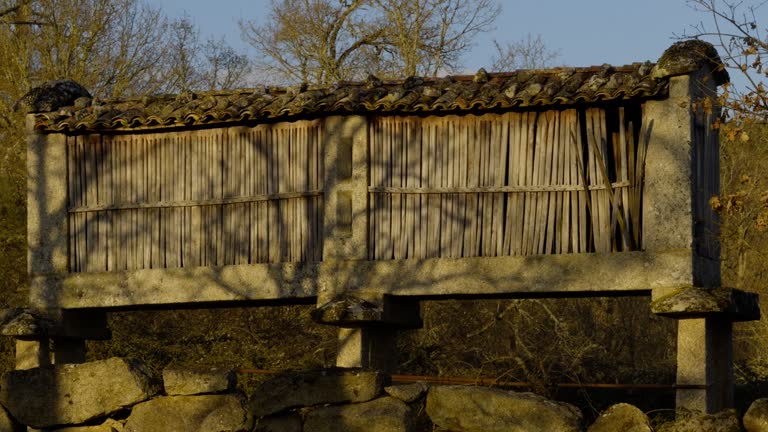 Traditional Galician Granary In A Sunny Day In The Countryside, Spain