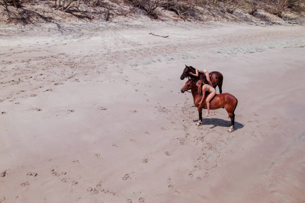 Women Hugging Their Horses on the beach