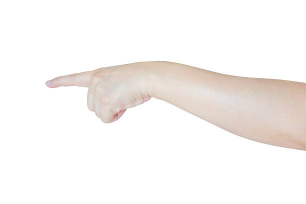 istock female hand touching or pointing to something isolated on white background 2150050916
