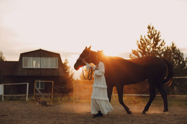 Asian woman leading a horse at dusk