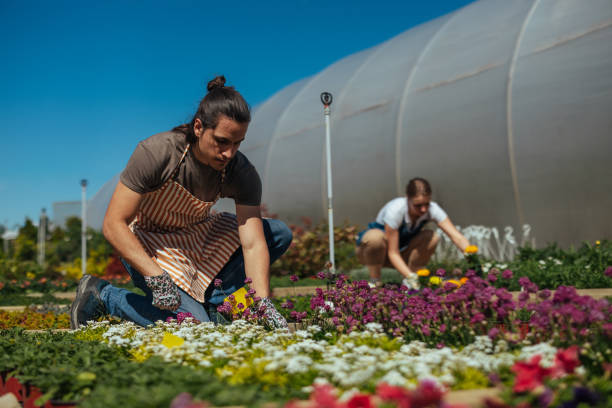istock Person working among colorful flowers 2150058571
