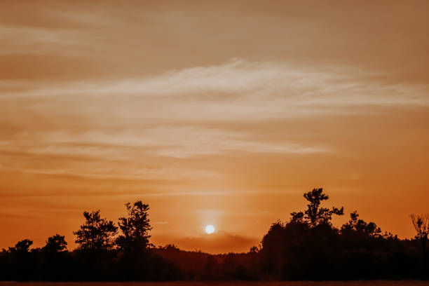 istock sunset brown sky  background with sillhuate tree 2150058755