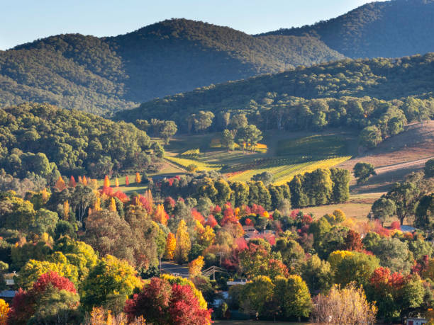 Valley town in autumn