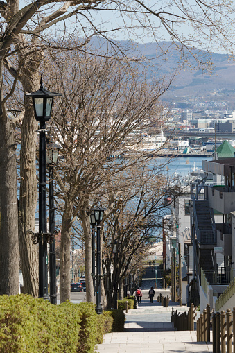 04/22/2024 Motomachi , Hakodate, Hokkaido, Japan An old town treelined sidewalk in spring