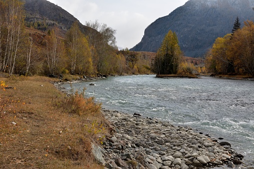 A small rocky clearing with yellowed birches on the bank of a small turbulent river flowing down from the mountains in early autumn.