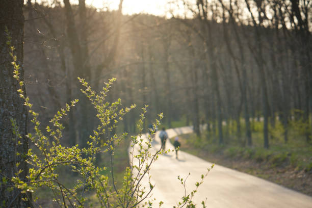 istock People walk through the park in the rays of the setting sun. 2150070366