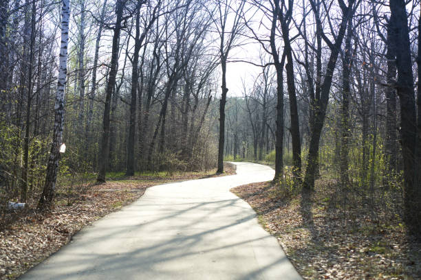 istock Sunset in the forest with trees and asphalt road in the evening 2150070409