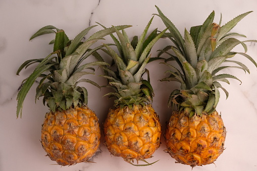 Horizontal row of organic fresh pineapples on wood shelf grown in fruit and vegetable garden in country Australia ready for eating