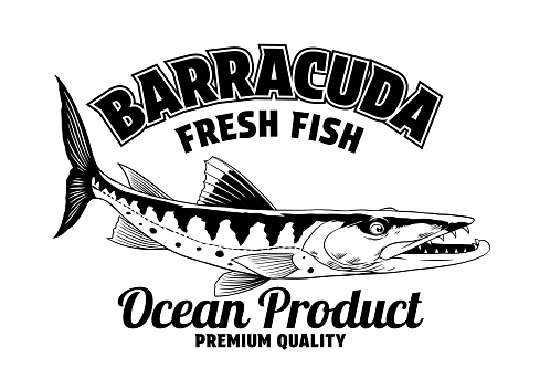 Vector Shirt Design of Barracuda Fish in Black and White Vintage
