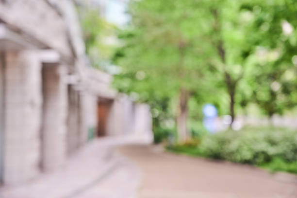 bstract urban tree-lined road background material Out of focu