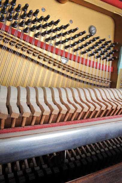 istock Tuner inside of a piano with little hammer 2150072353