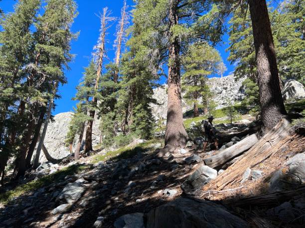 istock John Muir Trail - Devils Postpile to Thousand Island Lake 2150075621