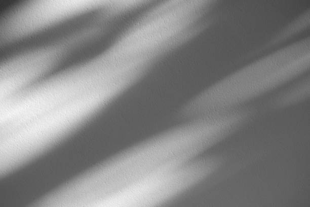 istock Wall interior background, studio and backdrops show products.with shadow from window color white . background for text insertion and presentation product 2150075817