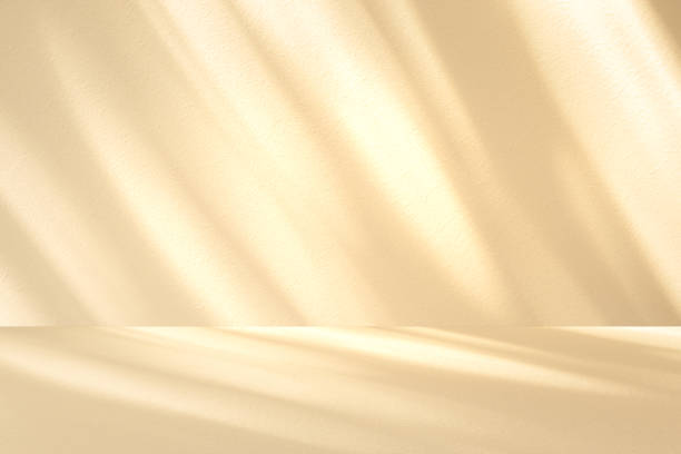 istock Wall interior background, studio and backdrops show leaf products.with shadow from window color beige and white. background for text insertion and presentation product 2150075818