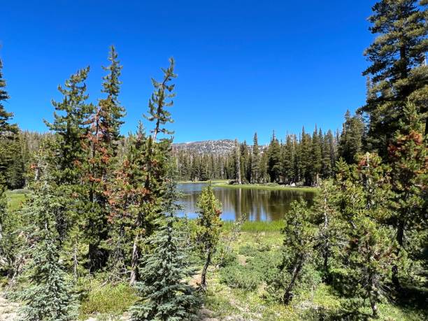 istock John Muir Trail - Devils Postpile to Thousand Island Lake 2150075891