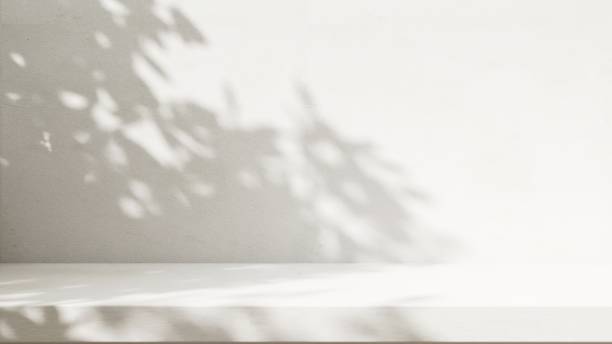 istock Minimal empty white stone countertop counter in sunlight, leaf foliage shadow on gray polished cement wall 2150079006