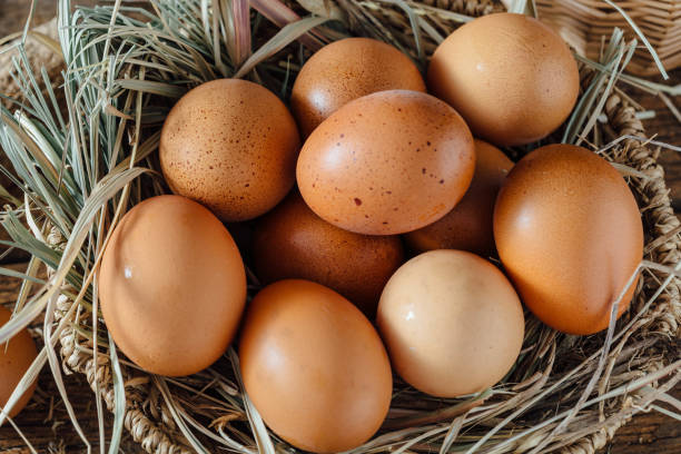 istock Chicken eggs with hay on wooden background 2150079305