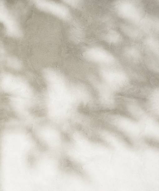 istock Sunlight cast leaf foliage shadow of tree plant on blank gray polished cement wall 2150080190