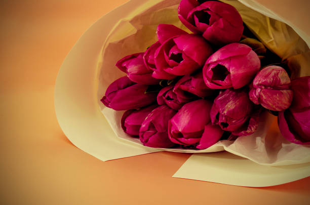 Bouquet of tulips in paper on an apricot background