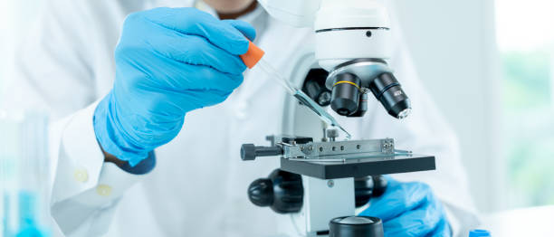 istock Scientist analyze biochemical samples in advanced scientific laboratory. Medical professional use dropper mix microbiological developmental of viral. Biotechnology research in  science lab. cosmetic 2150081397