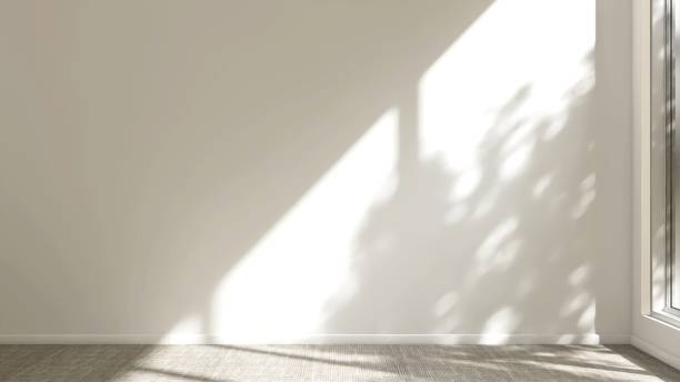 istock Cream wall room in sunlight from window with tree shadow on white baseboard, beige carpet floor 2150083481