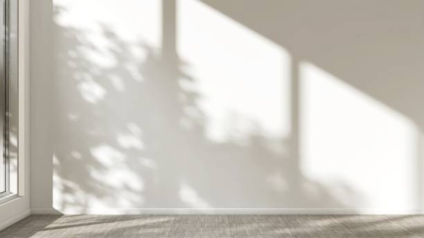 istock Cream wall room in sunlight from window with tree shadow on white baseboard, beige carpet floor 2150083482